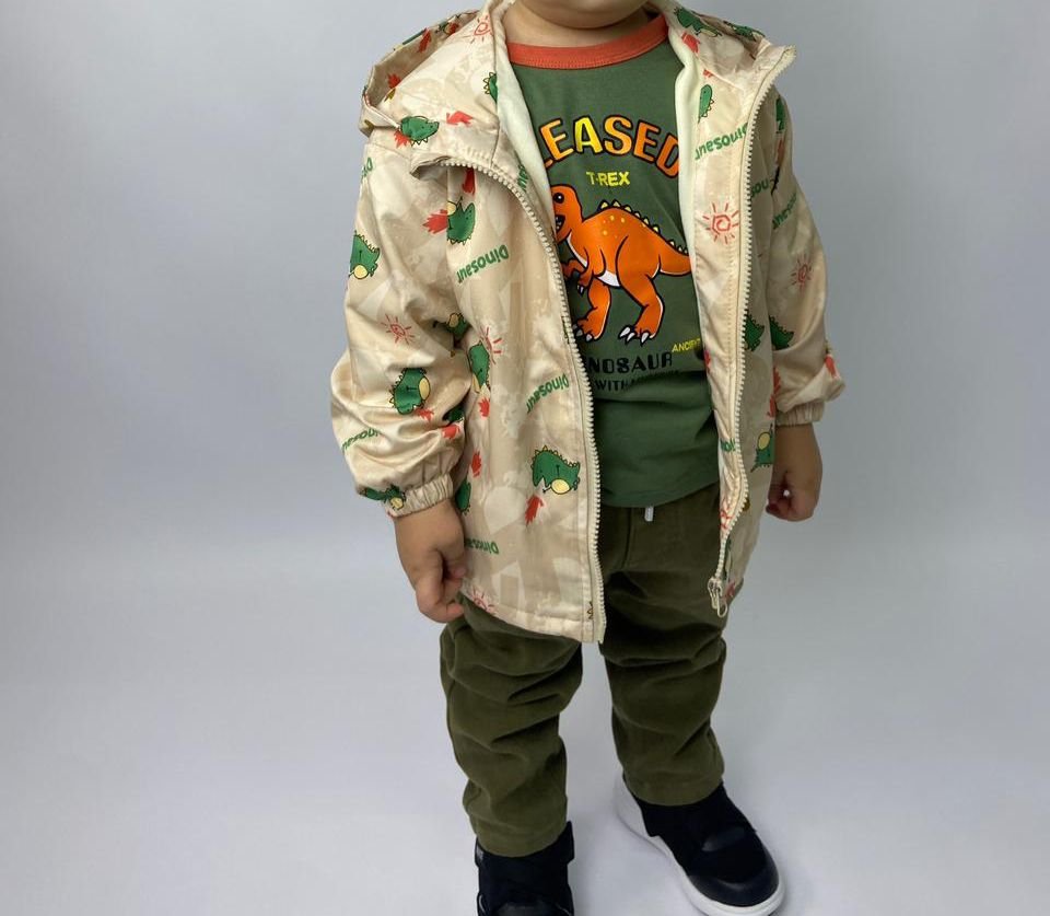 Ветровка/Желқорғағыш / 